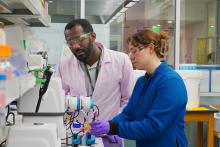 Stanford Assistant Professor William Tarpeh and PhD student Samantha Bunke in the Tarpeh lab. | Bill Rivard / Precourt Institute for Energy