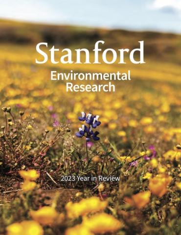 Cover page image showing field of yellow wild flowers