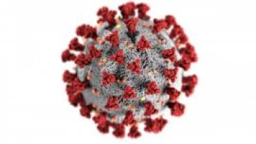 Graphic of a coronavirus