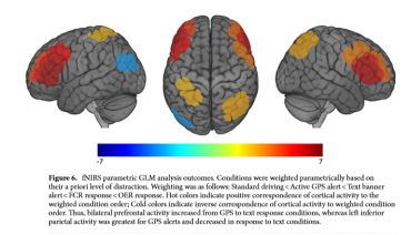 fNIRS parametric GLM analysis outcomes. Conditions were weighted parametrically based ontheir a priori level of distraction. Weighting was as follows: Standard driving < Active GPS alert < Text banneralert < FCR response < OER response. Hot colors indicate positive correspondence of cortical activity to theweighted condition order; Cold colors indicate inverse correspondence of cortical activity to weighted conditionorder.