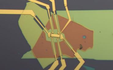 Optical micrograph of the assembled stacked structure, which consists of two graphene sheets sandwiched between two protective layers made of hexagonal boron nitride. 