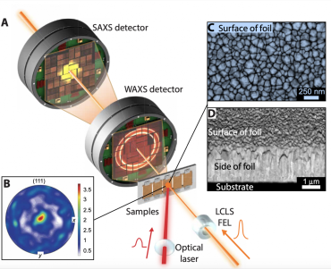 To see how materials respond to intense stress, researchers shocked a copper sample with picosecond laser pulses and used X-ray laser pulses to track the copper’s deformation. They captured how the material’s atomic lattice first compressed and subsequently expanded,, creating pores, or voids, that grew, coalesced, and eventually fractured the material.