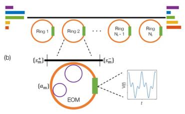 Schematic of the new photonic device showing the external waveguide (black), the light-altering rings (orange) and frequency modulators (green). 
