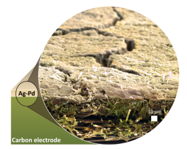 n illustration of a silver-palladium thin film deposited on a porous carbon electrode, which researchers believe could make hydrogen fuel cells easier and less expensive to manufacture. (José Zamora Zeledόn, John Douglin and Michaela Burke Stevens)