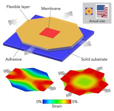 Diagram showing solid substrate, membrane flexible layer and adhesive