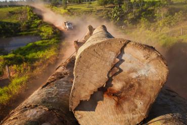 A truck transports tropical trunk wood from the Amazon rainforest. Deforestation presents a diffuse challenge involving millions of producers, weak governance in many places and many commodities, from cocoa to beef. (Image credit: iStock)